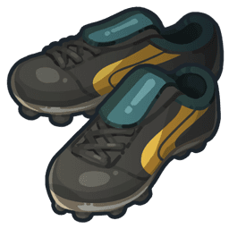 Crampons équipe Zoolan