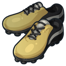 Crampons Orchid Academy